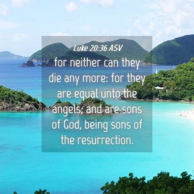 Picture 04 - Luke 20:36 ASV - for neither can they die any more: for they are - Bible Verse Picture