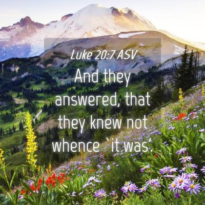 Picture 04 - Luke 20:7 ASV - And they answered, that they knew not whence `it - Bible Verse Picture