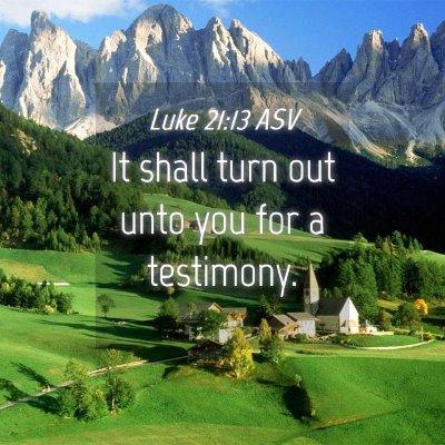Picture 04 - Luke 21:13 ASV - It shall turn out unto you for a - Bible Verse Picture