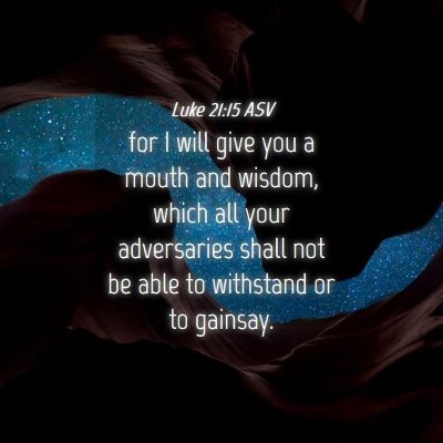 Picture 04 - Luke 21:15 ASV - for I will give you a mouth and wisdom, which all - Bible Verse Picture