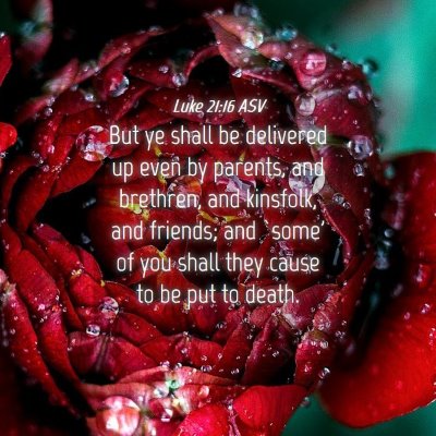 Picture 04 - Luke 21:16 ASV - But ye shall be delivered up even by parents, and - Bible Verse Picture