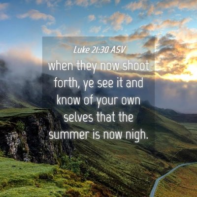 Picture 04 - Luke 21:30 ASV - when they now shoot forth, ye see it and know of - Bible Verse Picture