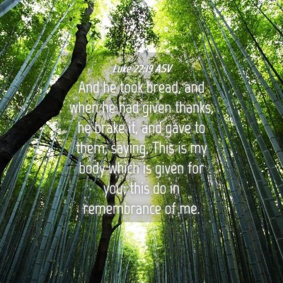 Picture 04 - Luke 22:19 ASV - And he took bread, and when he had given thanks, - Bible Verse Picture