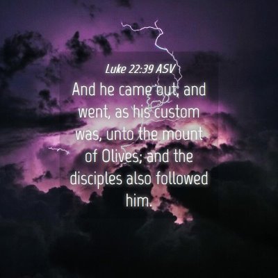 Picture 04 - Luke 22:39 ASV - And he came out, and went, as his custom was, - Bible Verse Picture