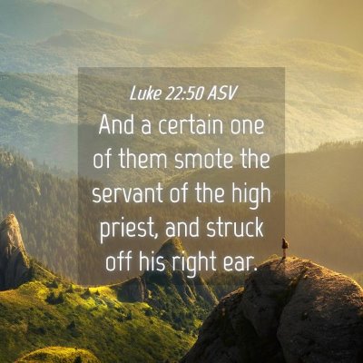 Picture 04 - Luke 22:50 ASV - And a certain one of them smote the servant of - Bible Verse Picture