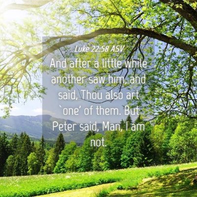 Picture 04 - Luke 22:58 ASV - And after a little while another saw him, and - Bible Verse Picture