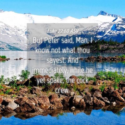 Picture 04 - Luke 22:60 ASV - But Peter said, Man, I know not what thou sayest. - Bible Verse Picture