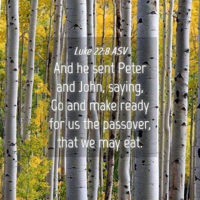 Picture 04 - Luke 22:8 ASV - And he sent Peter and John, saying, Go and make - Bible Verse Picture