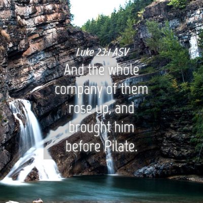 Picture 04 - Luke 23:1 ASV - And the whole company of them rose up, and - Bible Verse Picture
