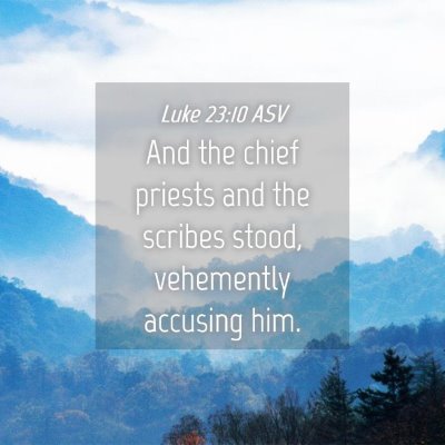 Picture 04 - Luke 23:10 ASV - And the chief priests and the scribes stood, - Bible Verse Picture