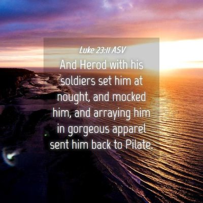 Picture 04 - Luke 23:11 ASV - And Herod with his soldiers set him at nought, - Bible Verse Picture