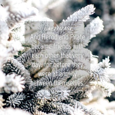 Picture 04 - Luke 23:12 ASV - And Herod and Pilate became friends with each - Bible Verse Picture