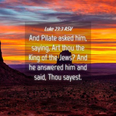 Picture 04 - Luke 23:3 ASV - And Pilate asked him, saying, Art thou the King - Bible Verse Picture