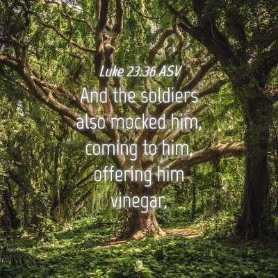 Picture 04 - Luke 23:36 ASV - And the soldiers also mocked him, coming to him, - Bible Verse Picture
