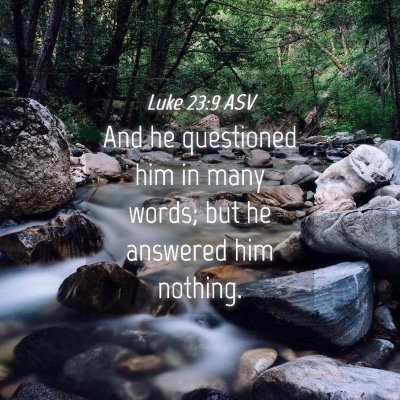 Picture 04 - Luke 23:9 ASV - And he questioned him in many words; but he - Bible Verse Picture