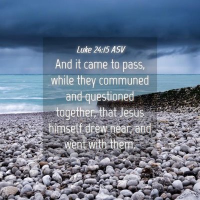 Picture 04 - Luke 24:15 ASV - And it came to pass, while they communed and - Bible Verse Picture