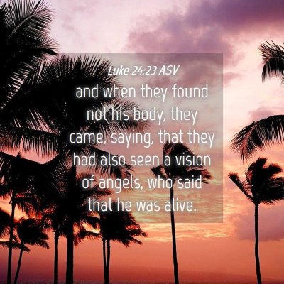 Picture 04 - Luke 24:23 ASV - and when they found not his body, they came, - Bible Verse Picture