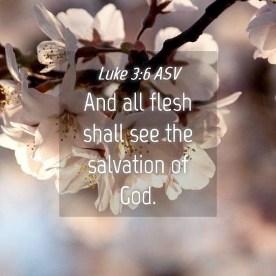Picture 04 - Luke 3:6 ASV - And all flesh shall see the salvation of - Bible Verse Picture