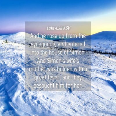 Picture 04 - Luke 4:38 ASV - And he rose up from the synagogue, and entered - Bible Verse Picture
