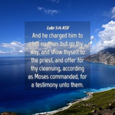 Picture 04 - Luke 5:14 ASV - And he charged him to tell no man: but go thy - Bible Verse Picture