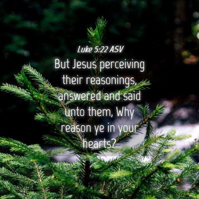 Picture 04 - Luke 5:22 ASV - But Jesus perceiving their reasonings, answered - Bible Verse Picture