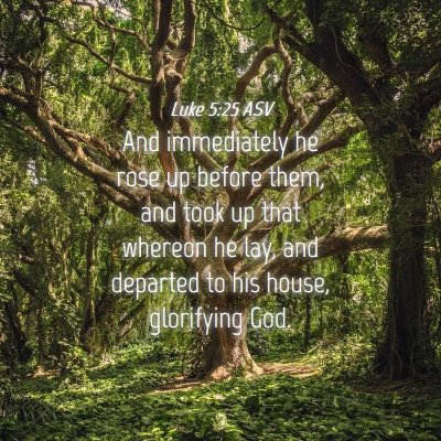 Picture 04 - Luke 5:25 ASV - And immediately he rose up before them, and took - Bible Verse Picture