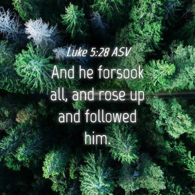 Picture 04 - Luke 5:28 ASV - And he forsook all, and rose up and followed - Bible Verse Picture