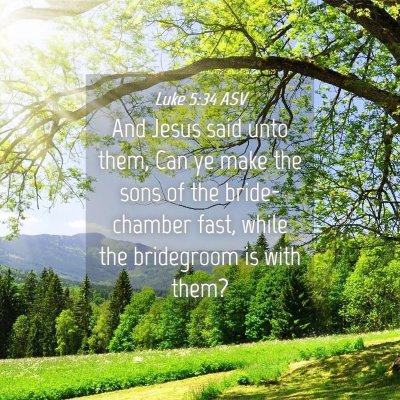 Picture 04 - Luke 5:34 ASV - And Jesus said unto them, Can ye make the sons of - Bible Verse Picture