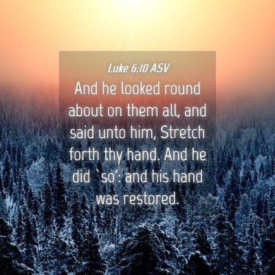 Picture 04 - Luke 6:10 ASV - And he looked round about on them all, and said - Bible Verse Picture