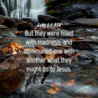 Picture 04 - Luke 6:11 ASV - But they were filled with madness; and communed - Bible Verse Picture