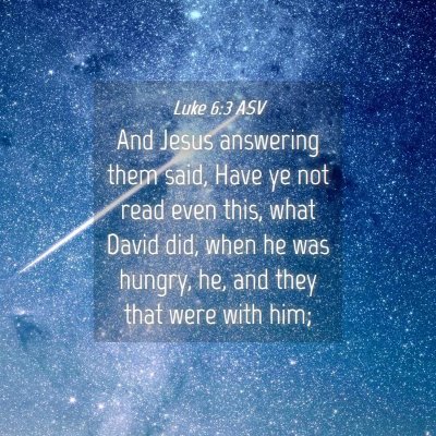 Picture 04 - Luke 6:3 ASV - And Jesus answering them said, Have ye not read - Bible Verse Picture
