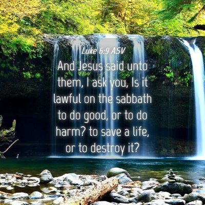 Picture 04 - Luke 6:9 ASV - And Jesus said unto them, I ask you, Is it lawful - Bible Verse Picture