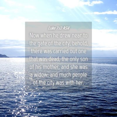 Picture 04 - Luke 7:12 ASV - Now when he drew near to the gate of the city, - Bible Verse Picture