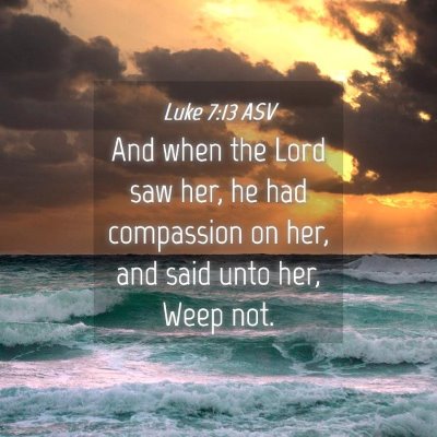 Picture 04 - Luke 7:13 ASV - And when the Lord saw her, he had compassion on - Bible Verse Picture