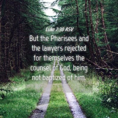 Picture 04 - Luke 7:30 ASV - But the Pharisees and the lawyers rejected for - Bible Verse Picture