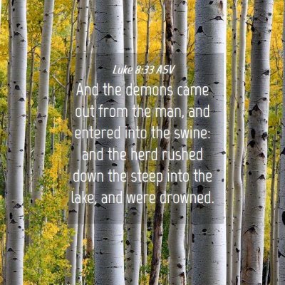 Picture 04 - Luke 8:33 ASV - And the demons came out from the man, and entered - Bible Verse Picture
