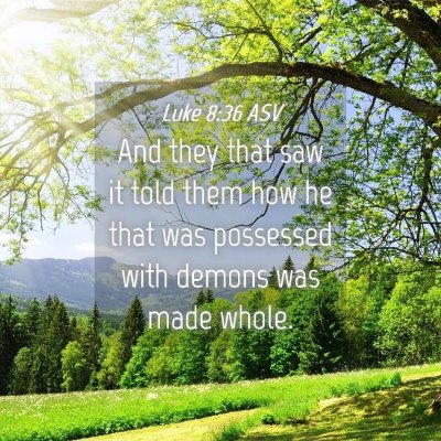 Picture 04 - Luke 8:36 ASV - And they that saw it told them how he that was - Bible Verse Picture