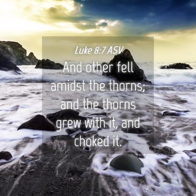 Picture 04 - Luke 8:7 ASV - And other fell amidst the thorns; and the thorns - Bible Verse Picture