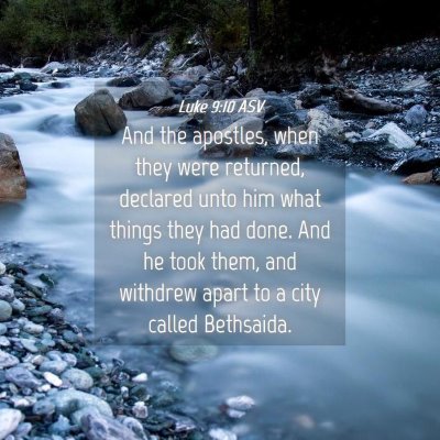 Picture 04 - Luke 9:10 ASV - And the apostles, when they were returned, - Bible Verse Picture