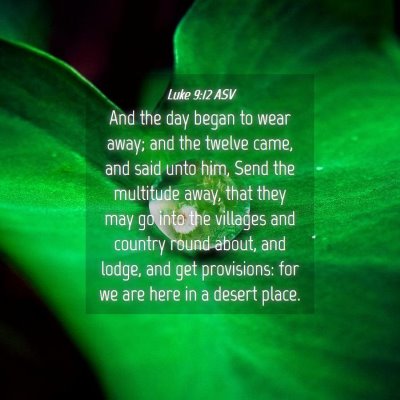 Picture 04 - Luke 9:12 ASV - And the day began to wear away; and the twelve - Bible Verse Picture