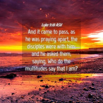Picture 04 - Luke 9:18 ASV - And it came to pass, as he was praying apart, the - Bible Verse Picture