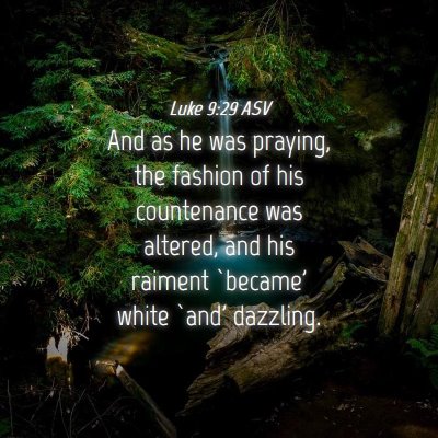 Picture 04 - Luke 9:29 ASV - And as he was praying, the fashion of his - Bible Verse Picture