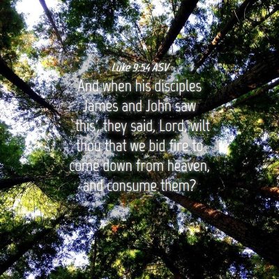 Picture 04 - Luke 9:54 ASV - And when his disciples James and John saw `this', - Bible Verse Picture