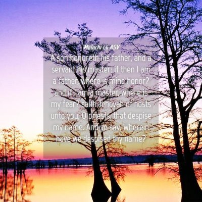 Picture 04 - Malachi 1:6 ASV - A son honoreth his father, and a servant his - Bible Verse Picture