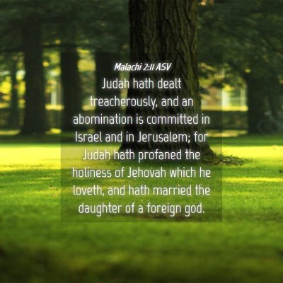 Picture 04 - Malachi 2:11 ASV - Judah hath dealt treacherously, and an - Bible Verse Picture