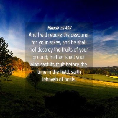 Picture 04 - Malachi 3:11 ASV - And I will rebuke the devourer for your sakes, - Bible Verse Picture
