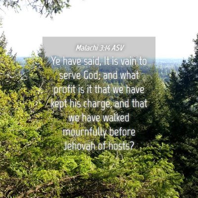 Picture 04 - Malachi 3:14 ASV - Ye have said, It is vain to serve God; and what - Bible Verse Picture