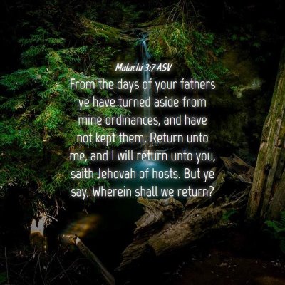 Picture 04 - Malachi 3:7 ASV - From the days of your fathers ye have turned - Bible Verse Picture