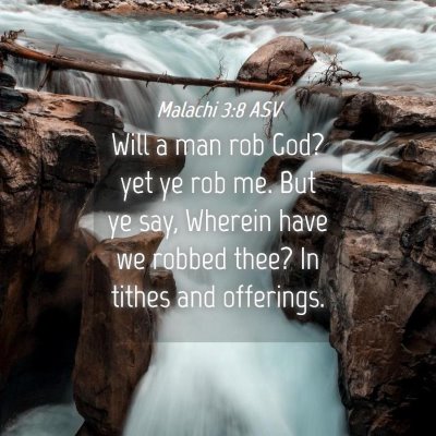 Picture 04 - Malachi 3:8 ASV - Will a man rob God? yet ye rob me. But ye say, - Bible Verse Picture