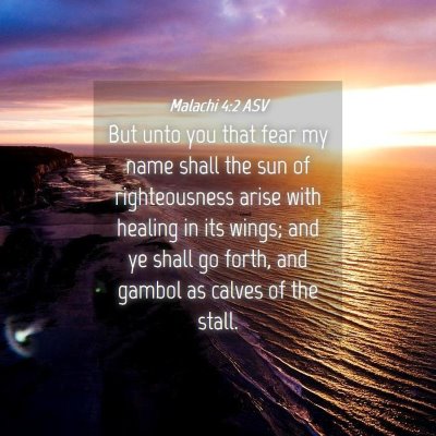Picture 04 - Malachi 4:2 ASV - But unto you that fear my name shall the sun of - Bible Verse Picture